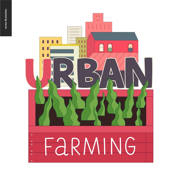 Agriculture Urbaine Et Jardinage