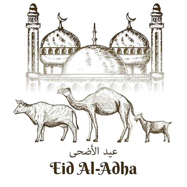 Aïd Al Adha Dessiné à La Main Avec Chameau De Vache Et Chèvre Sur Fond De Mosquée