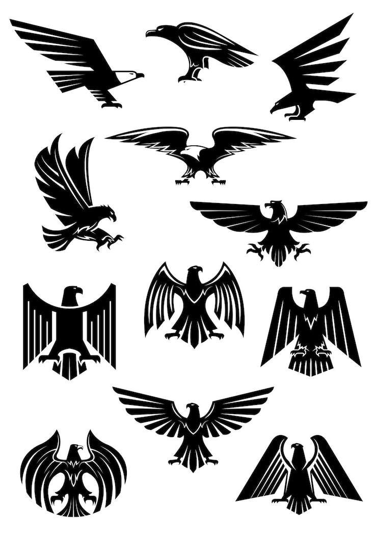 Vecteur aigle ou faucon aquila ou insigne héraldique de faucon