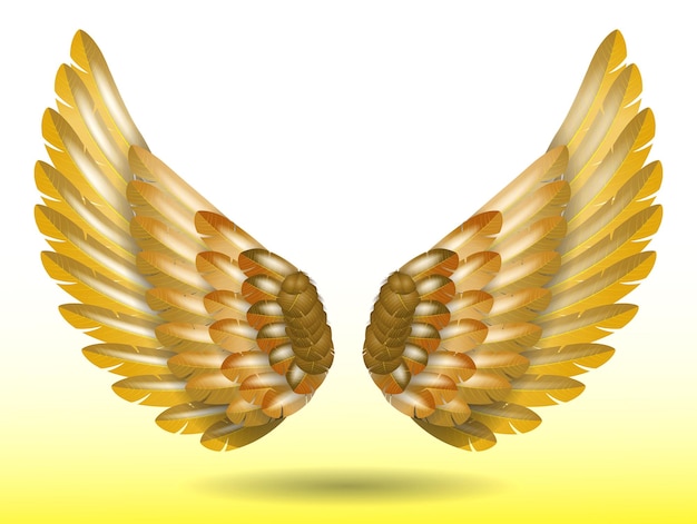 Vecteur ailes d'ange arc-en-ciel réalistes illustration 3d isolée