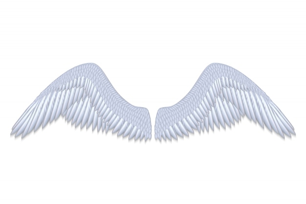 Ailes d&#39;ange blanc réaliste isolés illustration vectorielle