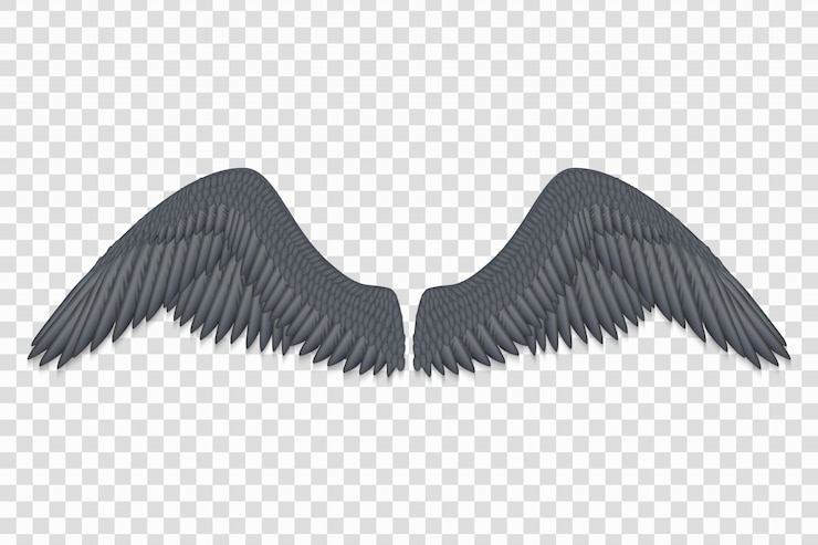 Vecteur ailes d&#39;ange noir réaliste isolés illustration vectorielle
