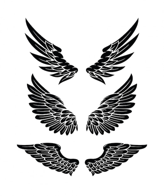 Ailes Collection Collection