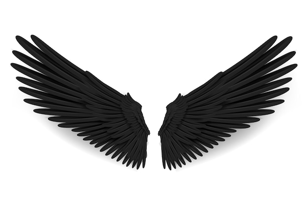 Ailes noires réalistes ailes noires d'ange ou aile de mouche d'oiseau modèle de conception d'ailes d'oiseau