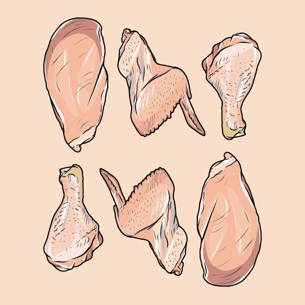 Ailes De Poitrine De Poulet Cru Et Illustration De Vecteur De Dessin Animé De Jambe