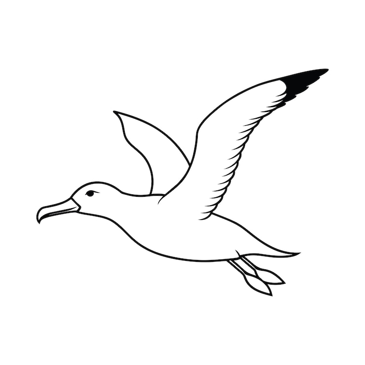 Vecteur albatros de dessin animé volant vecteur plat