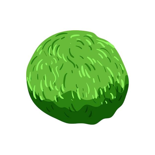 Algues