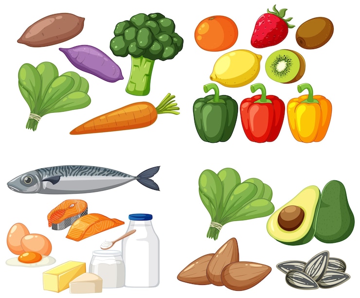 Vecteur alimentation saine et nutrition vecteur avec fruits légumes et p