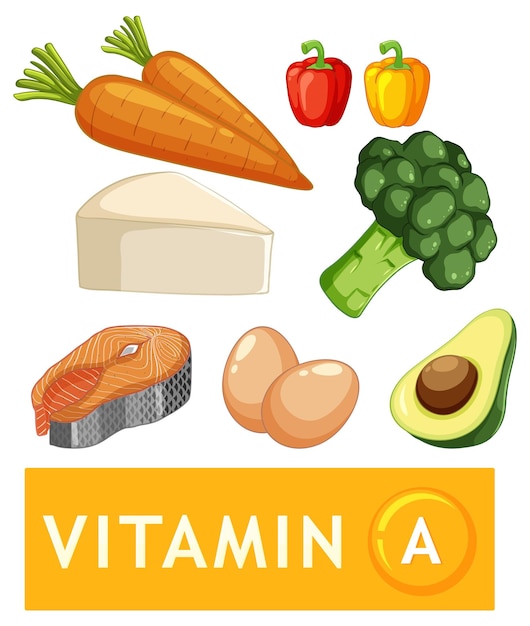 Aliments sains contenant de la vitamine A pour une alimentation équilibrée