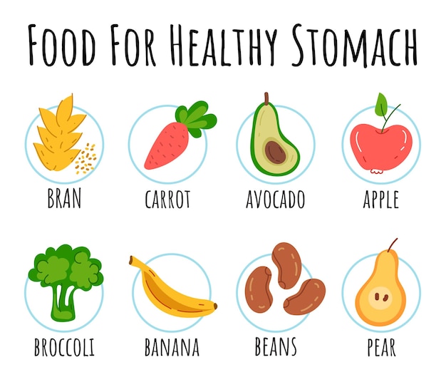 Aliments sains pour l'élément de conception infographique isolé de l'estomac