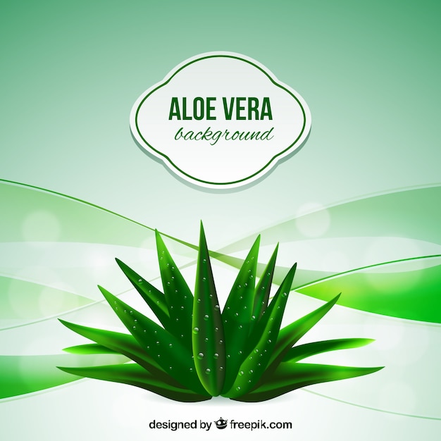 Vecteur aloe vera abstract background