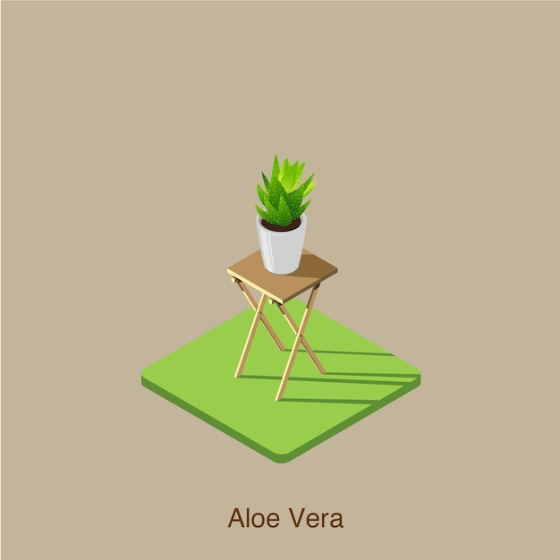 Aloe Vera art vectoriel isométrique en 3D.