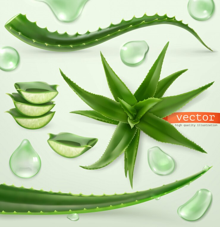 Vecteur aloe vera et goutte. médicinant. jeu d'icônes 3d