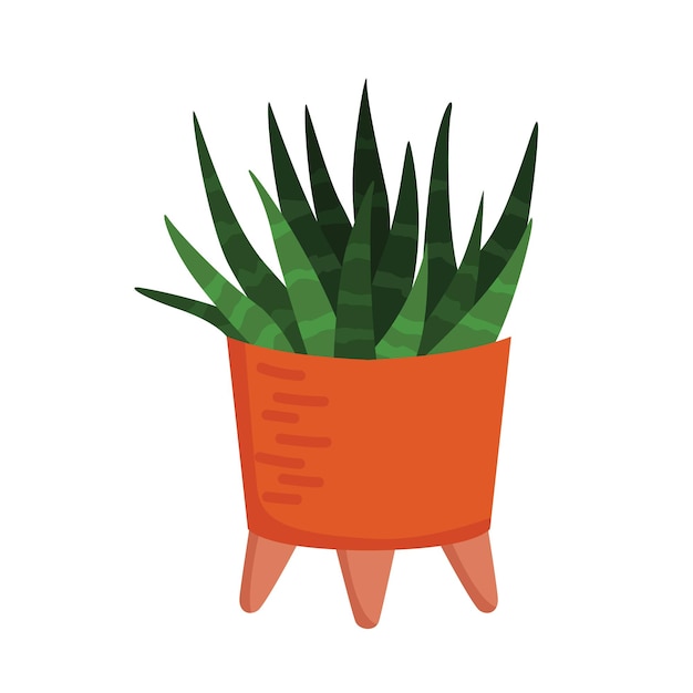 Aloe Vera Maison Plantes Intérieur Illustration Vecteur Clipart