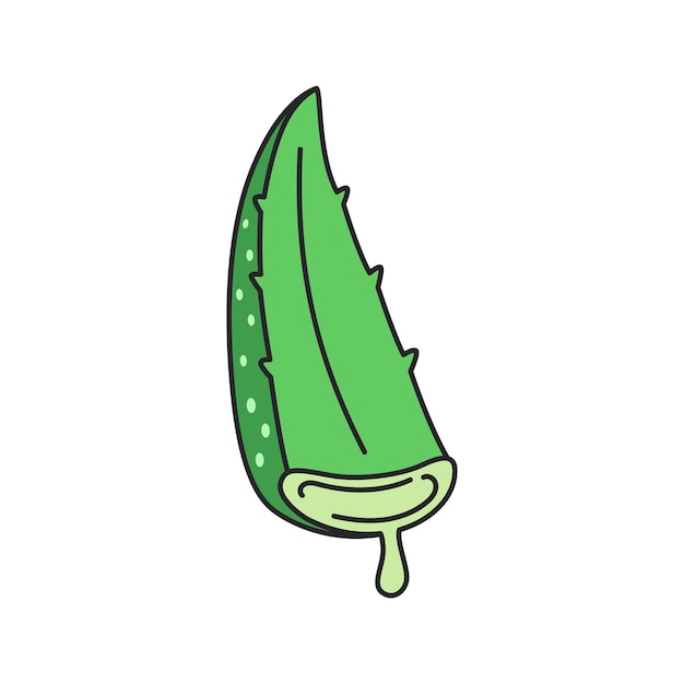 à l'aloe vera