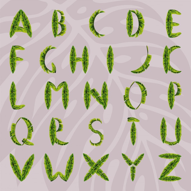 Vecteur alphabet à base de feuilles de palmier