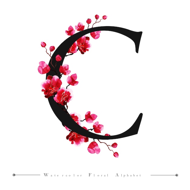 Alphabet Letter C Aquarelle Floral Background