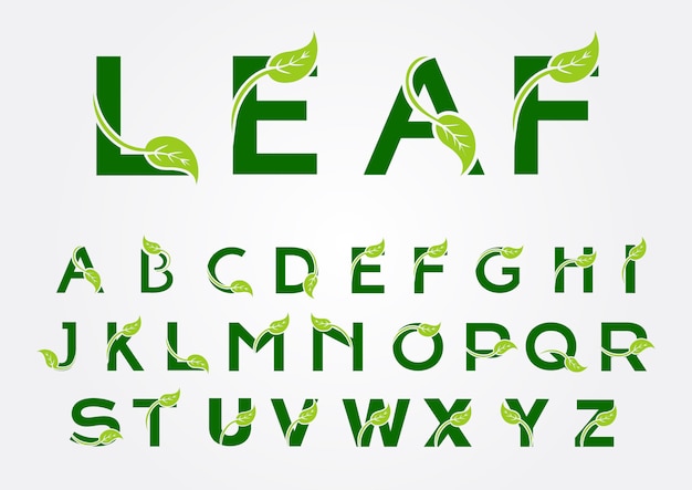 Alphabet logo avec élément feuille