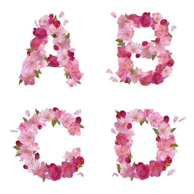 Alphabet de printemps de vecteur avec des lettres de fleurs de sakura roses douces ABCD