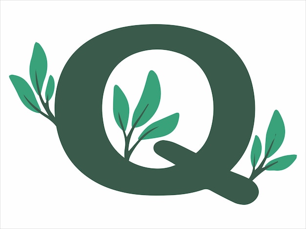 Vecteur l'alphabet q avec une illustration de feuille botanique