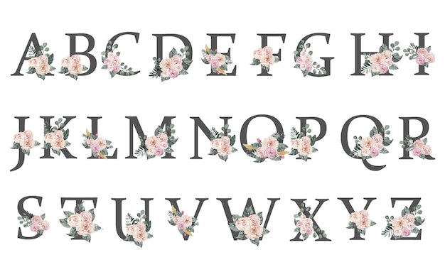 Vecteur alphabet de vacances complet avec de délicates roses aquarelles