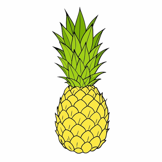 Ananas dessiné à la main sur un fond blanc isolé 17