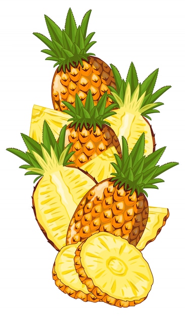 Vecteur ananas isolé sur blanc