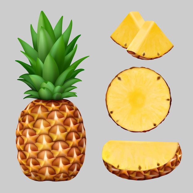 Ananas Réaliste Tranche De Fruits Naturels Tropicaux Exotiques Sains Ananas Vitamine Nourriture Végétarienne Vecteur Décent Illustration Gros Plan