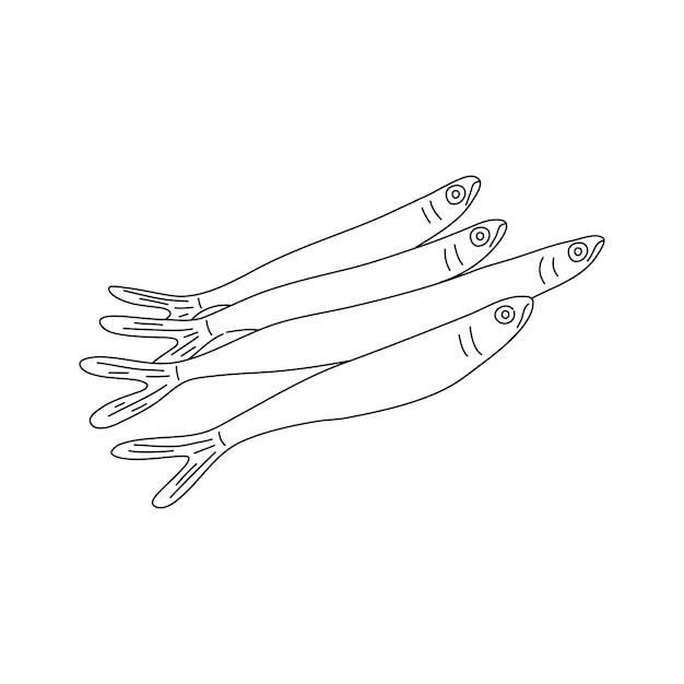 Vecteur anchois détaillé dessin à l'encre dans le style vintage