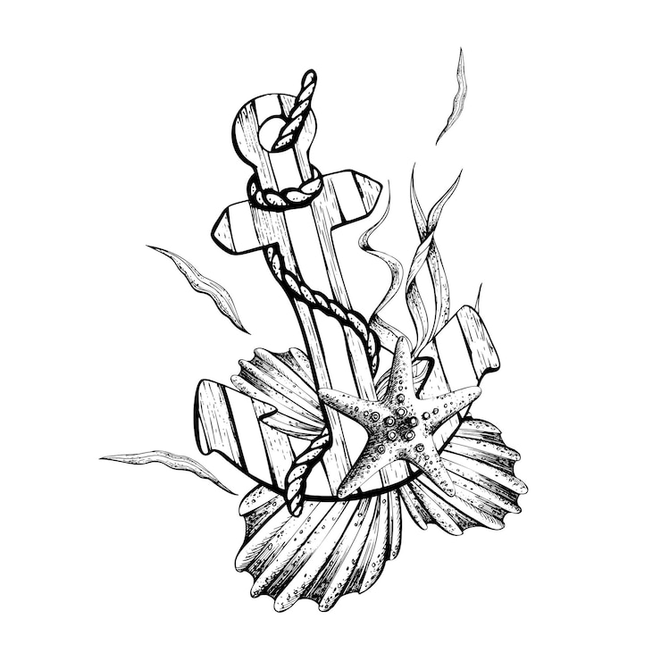 Vecteur ancre en bois rayée de coquillages de corde et d'algues illustration du vecteur graphique dessiné à la main au format eps composition isolée sur fond blanc