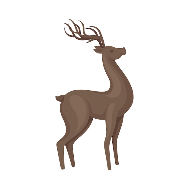 Vecteur animal de cerf brun dans une pose debout illustration vectorielle concept de faune sauvage