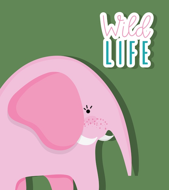 Animal de la faune éléphant mignon