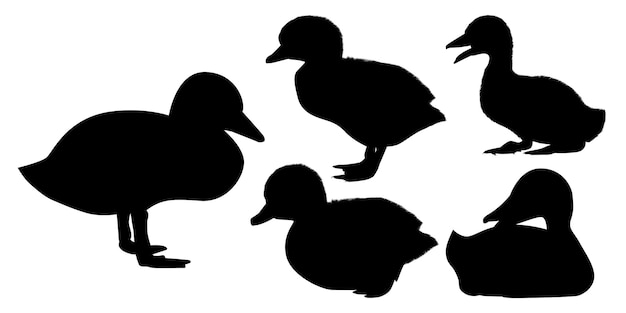 Vecteur animal de ferme canard nouveau-né silhouette vector illustration