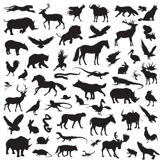 Animal De La Forêt Set Silhouette Clipart