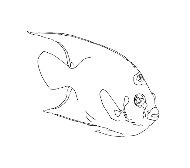 Animal Marin De Poisson Qui Nage Dans L'eau Doodle Coloriage De Dessin Animé Linéaire