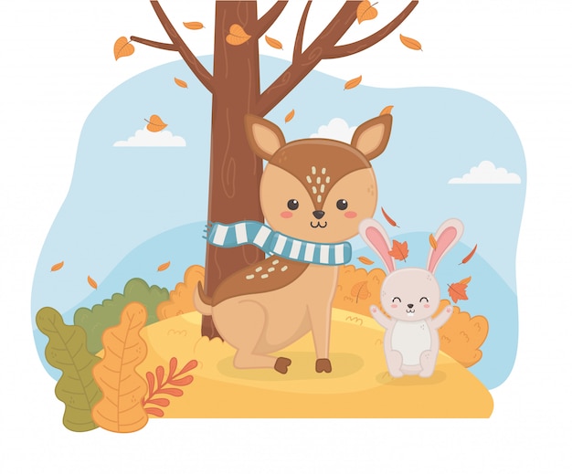 Animal Mignon En Automne