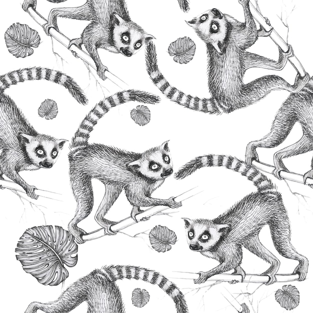 Animal motif lémuriens
