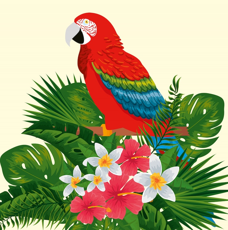 Vecteur animal perroquet à fleurs et feuilles exotiques