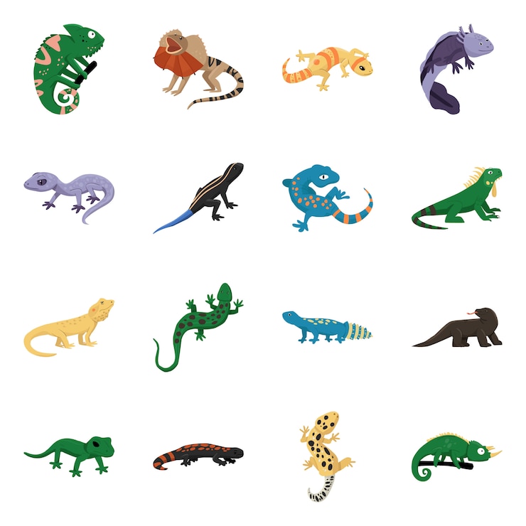 Vecteur animal et reptile. symbole de stock animaux et nature collection.