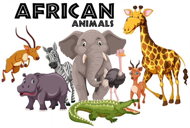 Vecteur animaux africains sur fond blanc