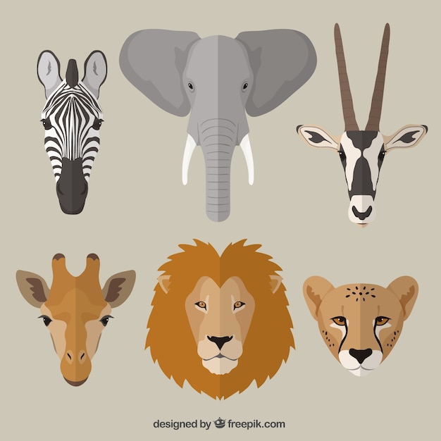 Animaux Africains