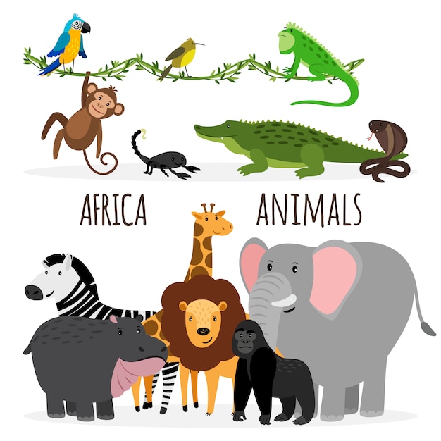 Animaux D'afrique Exotiques De Dessin Animé