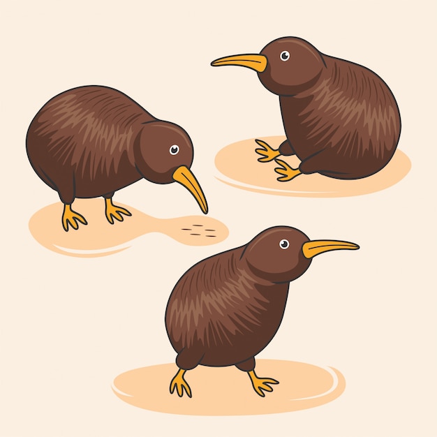 Animaux Australiens Dessin Animé Mignon Oiseau Kiwi