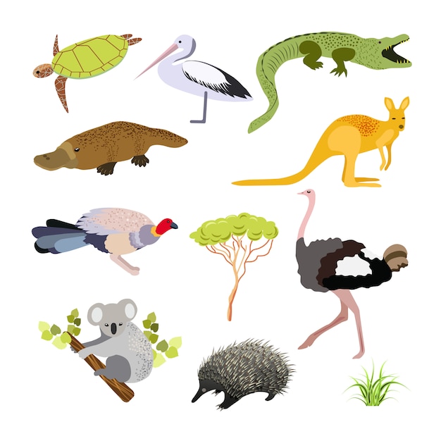 Vecteur animaux australiens. illustration dans un style plat les principaux symboles du pays.