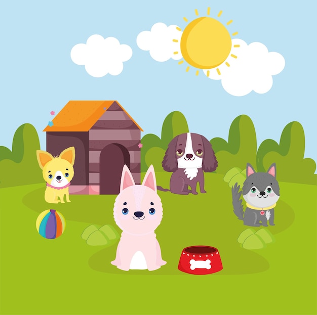Animaux de compagnie chiens avec jouets