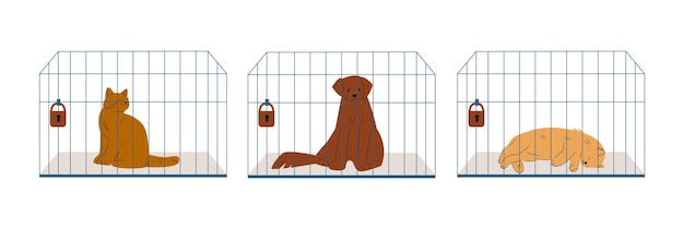 Animaux de compagnie dans des cages Chien et chats sans abri adoptant le concept Animaux en attente propriétaires mignon chaton et chiot personnages vectoriels plats de l'illustration des sans-abri du refuge pour chiens de compagnie