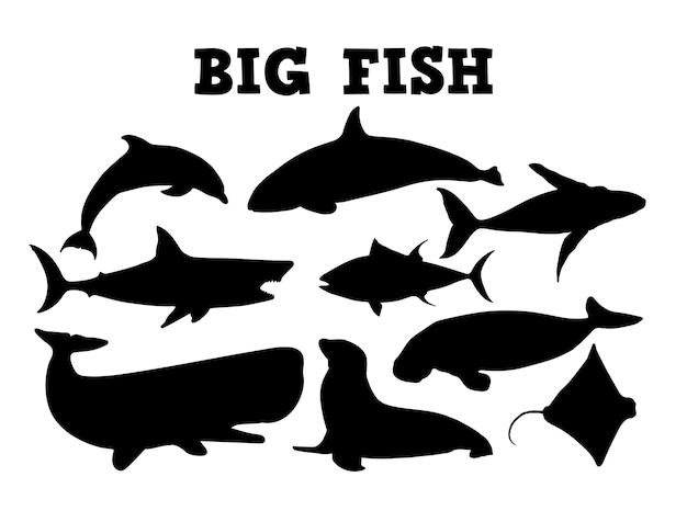 Vecteur animaux dessinés à la main, illustration de silhouette de gros poisson