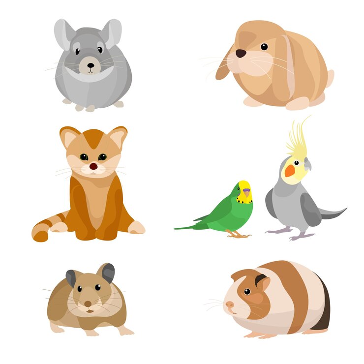Vecteur animaux domestiques