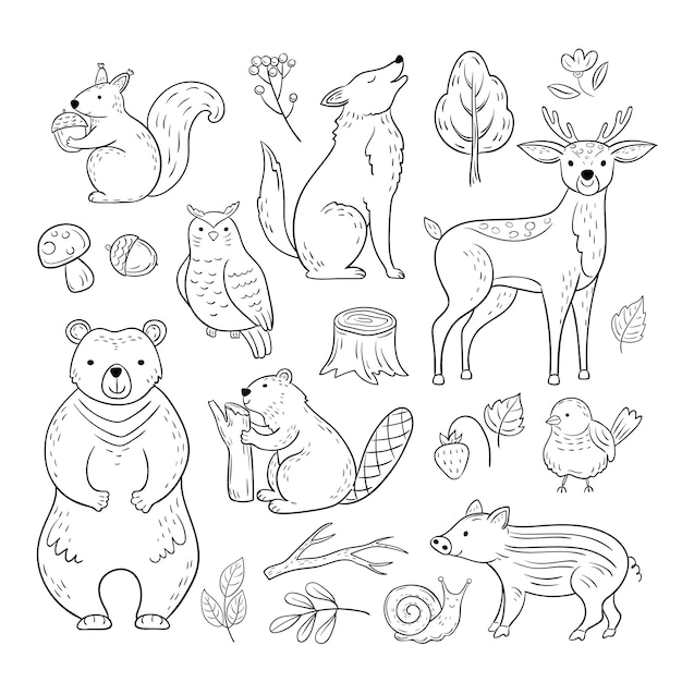 Animaux De La Forêt De Doodle. Woodland Mignon Bébé Animal écureuil Loup Hibou Ours Cerf Escargot Enfants Croquis Dessinés à La Main Ensemble