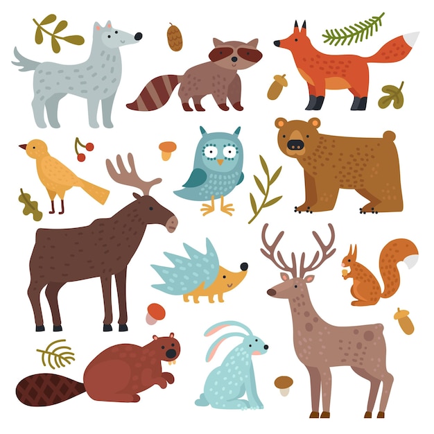 Animaux de la forêt. Loup, raton laveur et renard, ours et hibou, cerf, écureuil et hérisson, lièvre et castor, élan.